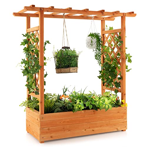 Safstar Raised Garden Bed with Arch Trellis, Wood Planter Containe...