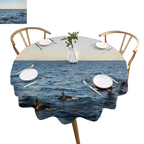 S-ANT Tassel Round Tablecloth Whale,A Real Photo Image of Four Kil...