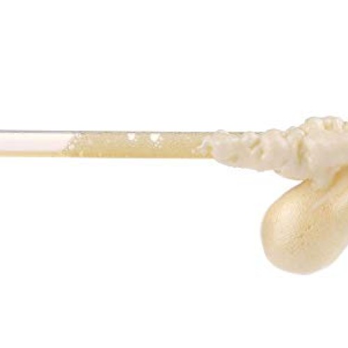 PROENS Upgraded Version Spray Foam Replacement Tubes, Spray Foam...