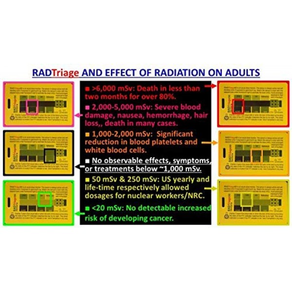 RADTriage Model50 Personal Radiation Detector for Wallet or Pocket...