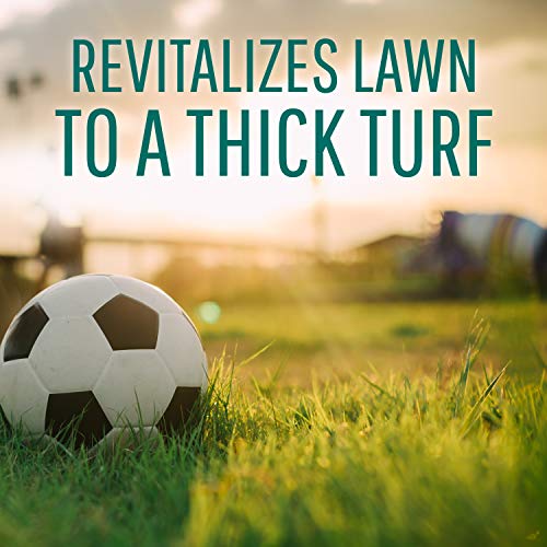 Safer Brand 9334 Lawn Restore Fertilizer – 25 lb,White