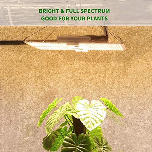 SAFER US-Design Indoor LED Grow Light LM301B Diodes, MeanWell Driv...