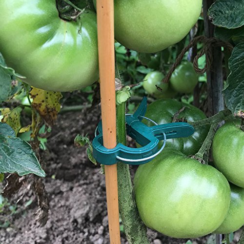 Sago Brothers Plant Support Clips 40 PCS for Gardening, Gentle Pla...