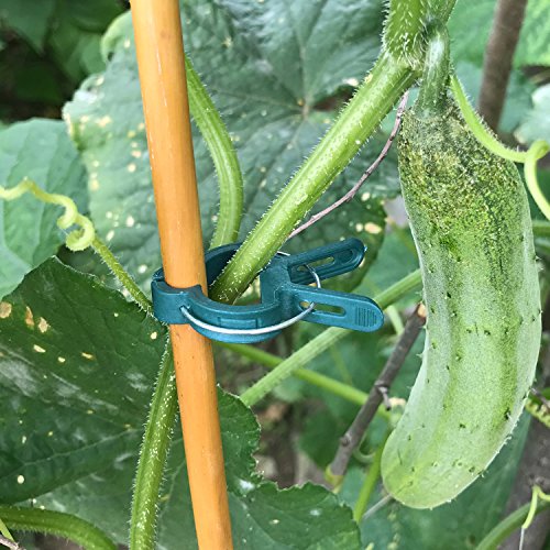 Sago Brothers Plant Support Clips 40 PCS for Gardening, Gentle Pla...