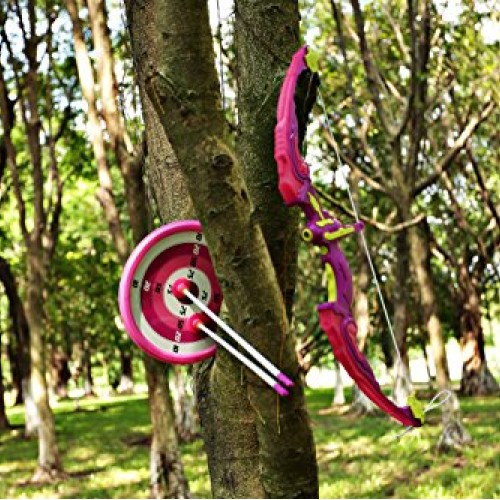 SainSmart Jr. Kids Bow & Arrow Toy, Princess Basic Archery Set Out...