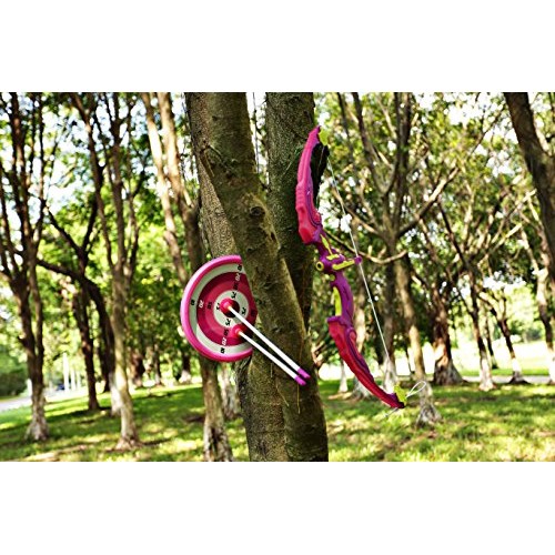 SainSmart Jr. Kids Bow & Arrow Toy, Princess Basic Archery Set Out...