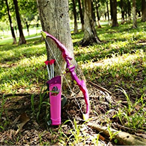 SainSmart Jr. Kids Bow & Arrow Toy, Princess Basic Archery Set Out...