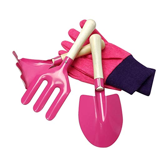 Kids Gardening Tool Set with Safety Edge, Gloves & Durable Tool Ca...