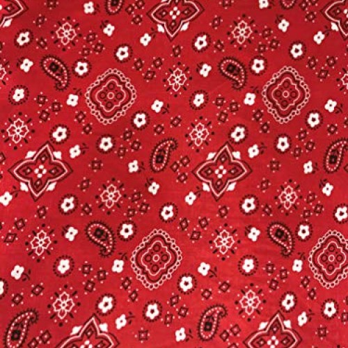 SAL TEX FABRICS, Paisley Bandanna Polyester Cotton Print Fabric, S...