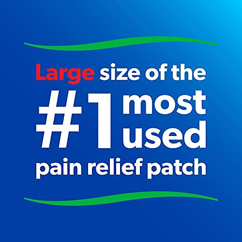 Salonpas Pain Relieving Patch for Back, Neck, Shoulder, Knee Pain ...