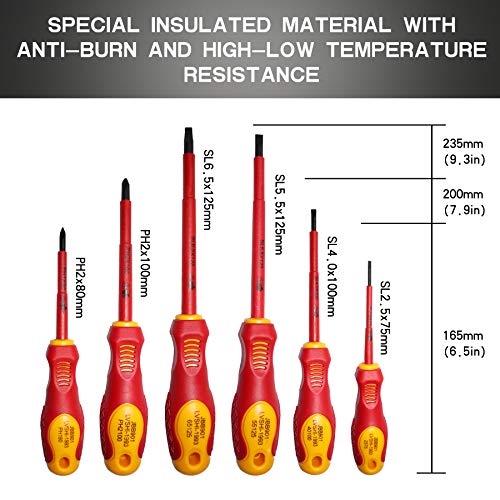 6 Piece Insulated Screwdriver Set, 1000V VDE Insulated Electrician...
