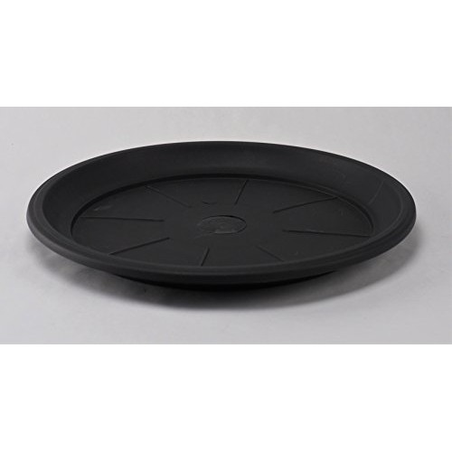 11 Decorative Heavy Duty Tray/Saucer 2 Pack Rustic Medieval/Fre...