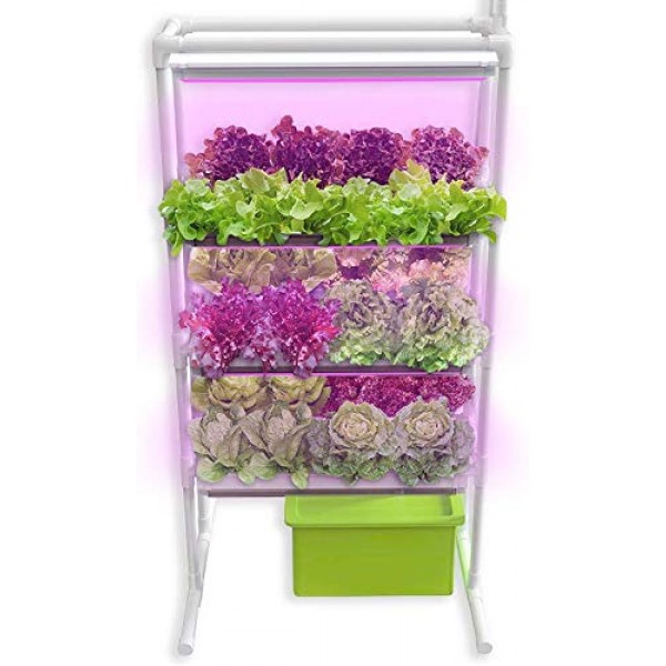Herb Garden Starter Kit Indoor - Hydroponics Growing System with N...