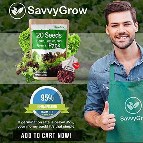 SavvyGrow Herb Lettuce Green Seeds Combo - Perfect Christmas Gifts...