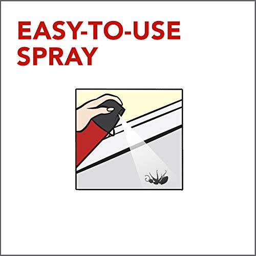 Raid Ant & Roach Killer Spray for Listed Bugs, Insect, Spider, For...