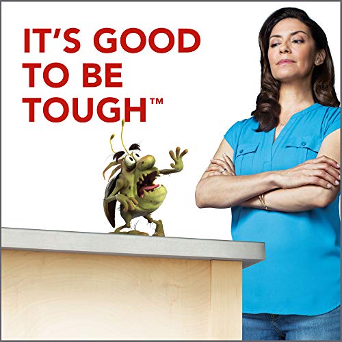 Raid Ant & Roach Killer Spray for Listed Bugs, Insect, Spider, For...