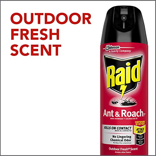 Raid Ant & Roach Killer Spray for Listed Bugs, Insect, Spider, For...