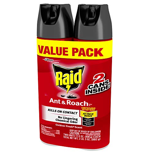 Raid Ant & Roach Killer Spray for Listed Bugs, Insect, Spider, For...