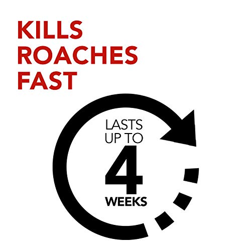 Raid Ant & Roach Killer Spray for Listed Bugs, Insect, Spider, For...