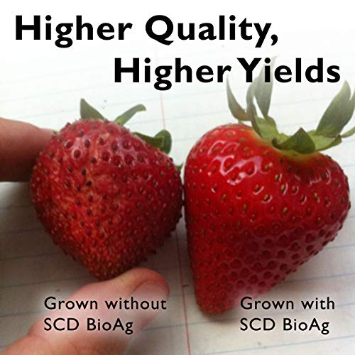 SCD BIO AG - Beneficial Microbial Inoculant & Soil Amendment for O...