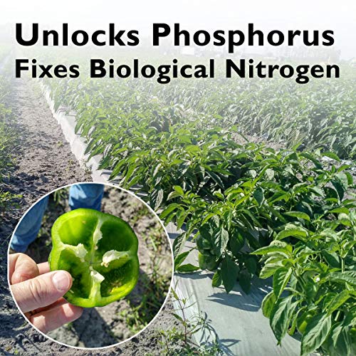 SCD BIO AG - Beneficial Microbial Inoculant & Soil Amendment for O...