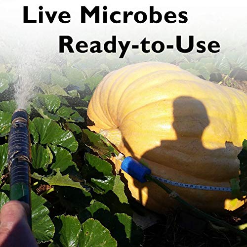 SCD BIO AG - Beneficial Microbial Inoculant & Soil Amendment for O...