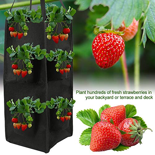 Scorpiuse 2 Pack Hanging Garden Planter with 8 Pockets Strawberry ...