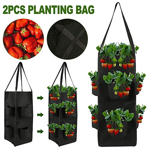 Scorpiuse 2 Pack Hanging Garden Planter with 8 Pockets Strawberry ...
