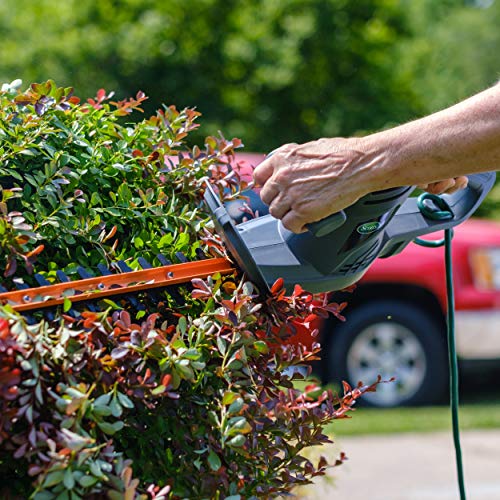 Scotts Outdoor Power Tools HT10020S 20-Inch 3.2-Amp Corded Electri...