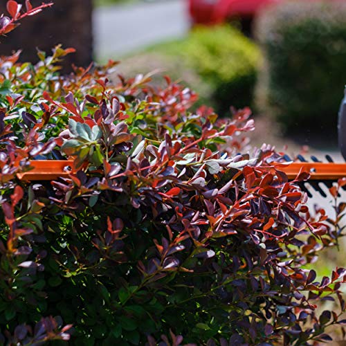 Scotts Outdoor Power Tools HT10020S 20-Inch 3.2-Amp Corded Electri...