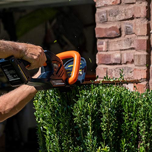 Scotts Outdoor Power Tools LHT12220S 20-Volt 22-Inch Cordless Hedg...