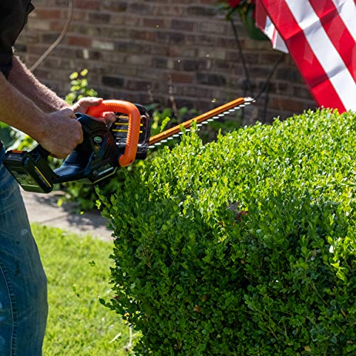 Scotts Outdoor Power Tools LHT12220S 20-Volt 22-Inch Cordless Hedg...