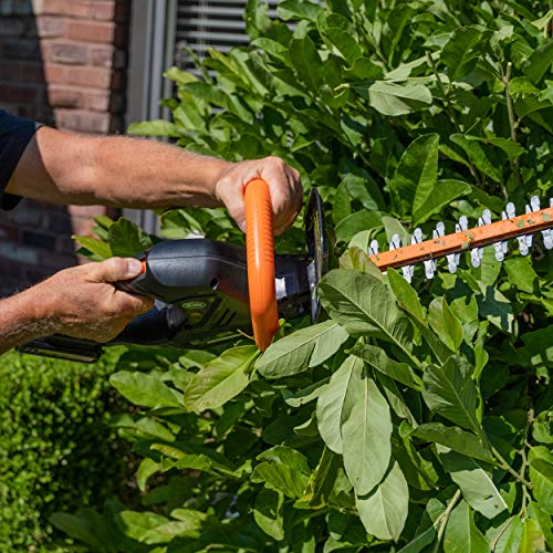 Scotts Outdoor Power Tools LHT12220S 20-Volt 22-Inch Cordless Hedg...