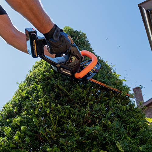 Scotts Outdoor Power Tools LHT12220S 20-Volt 22-Inch Cordless Hedg...