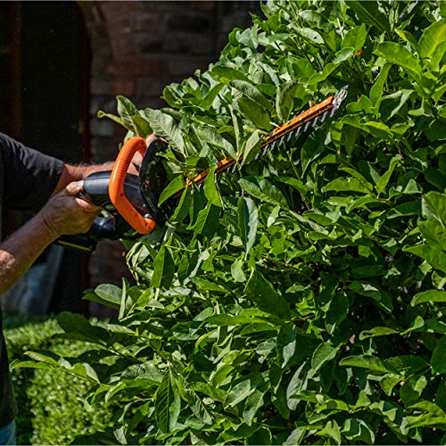 Scotts Outdoor Power Tools LHT12220S 20-Volt 22-Inch Cordless Hedg...