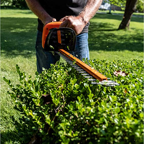 Scotts Outdoor Power Tools LHT12220S 20-Volt 22-Inch Cordless Hedg...