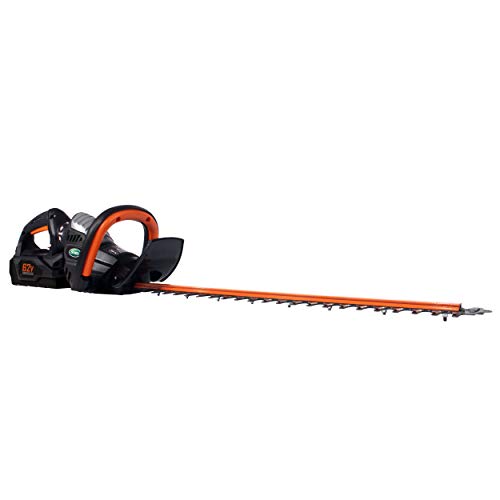 Scotts Outdoor Power Tools LHT12462S 62-Volt 24-Inch Cordless Hedg...
