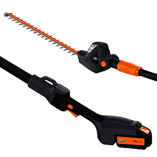 Scotts Outdoor Power Tools LPHT12122S 20-Volt 22-Inch Cordless Pol...