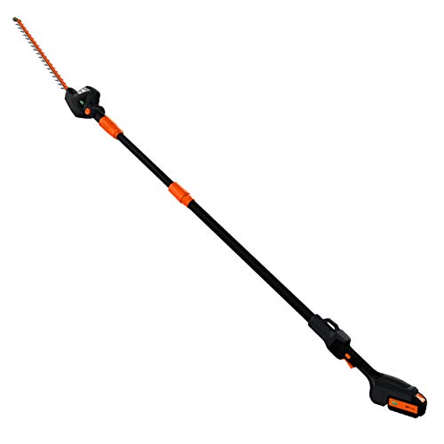 Scotts Outdoor Power Tools LPHT12122S 20-Volt 22-Inch Cordless Pol...