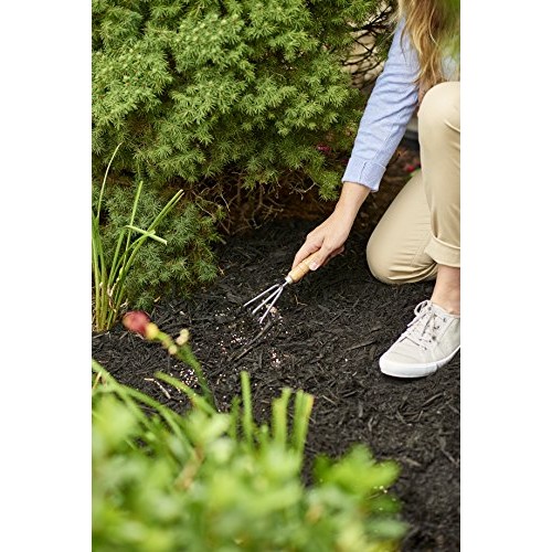 Scotts 1009101 Continuous Release Evergreen Flowering Tree and Shr...