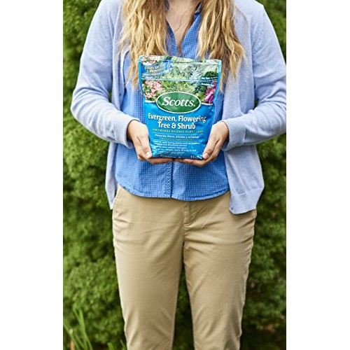 Scotts 1009101 Continuous Release Evergreen Flowering Tree and Shr...