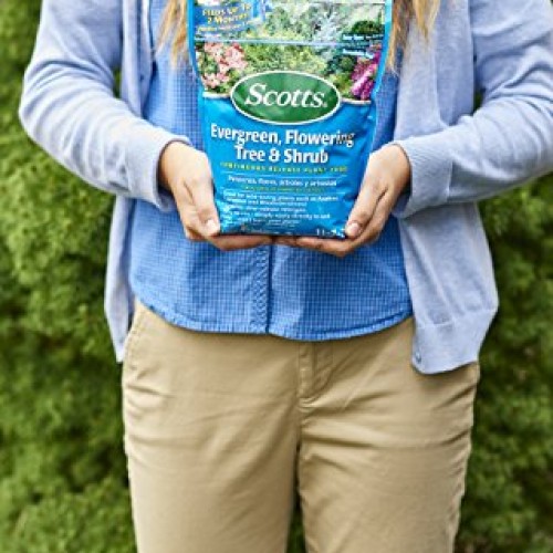Scotts 1009101 Continuous Release Evergreen Flowering Tree and Shr...