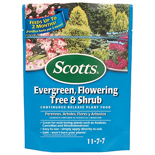 Scotts 1009101 Continuous Release Evergreen Flowering Tree and Shr...
