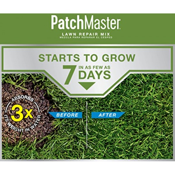 Scotts 14900 PatchMaster Lawn Repair Tall Fescue Mix, 4.75 LB