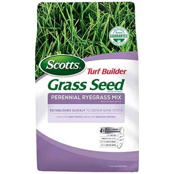 Scotts 18260 Grass Seed, 3-Pound