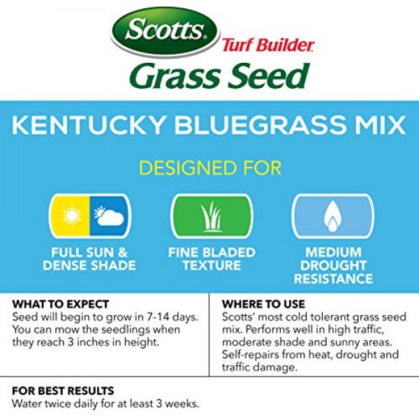 Scotts 18269 Turf Builder Grass Seed Kentucky Bluegrass Mix, 7-Pound