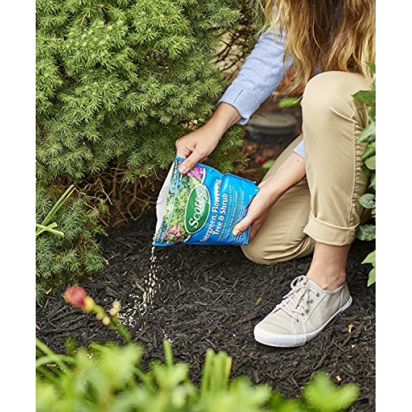 Scotts Continuous Release Evergreen Flowering Tree and Shrub Ferti...