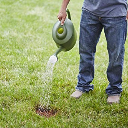 Scotts EZ Seed Dog Spot Repair Tall Fescue Lawns - 2 lb., Combinat...