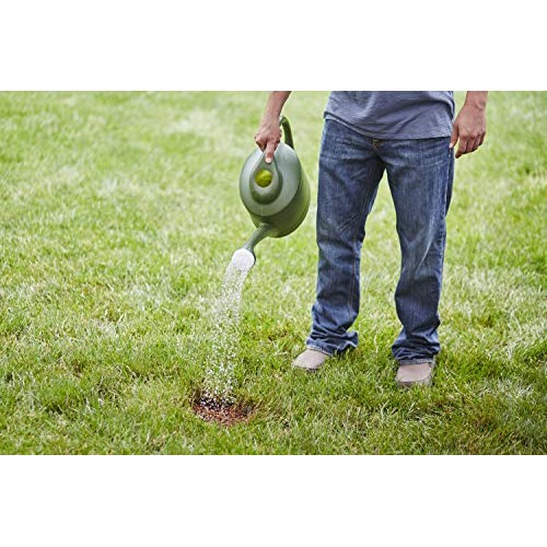 Scotts EZ Seed Dog Spot Repair Tall Fescue Lawns - 2 lb., Combinat...