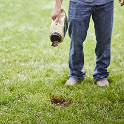 Scotts EZ Seed Dog Spot Repair Tall Fescue Lawns - 2 lb., Combinat...